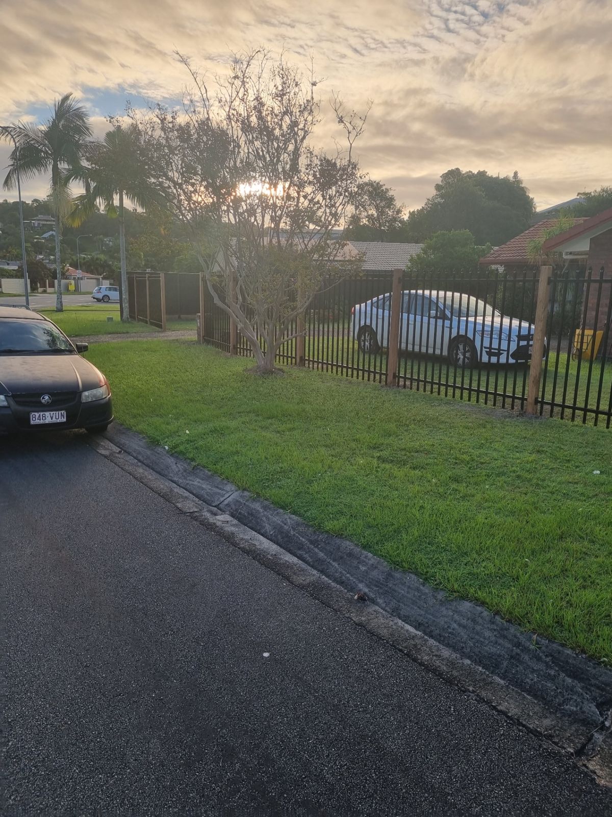 Black steel security fence along a front yard