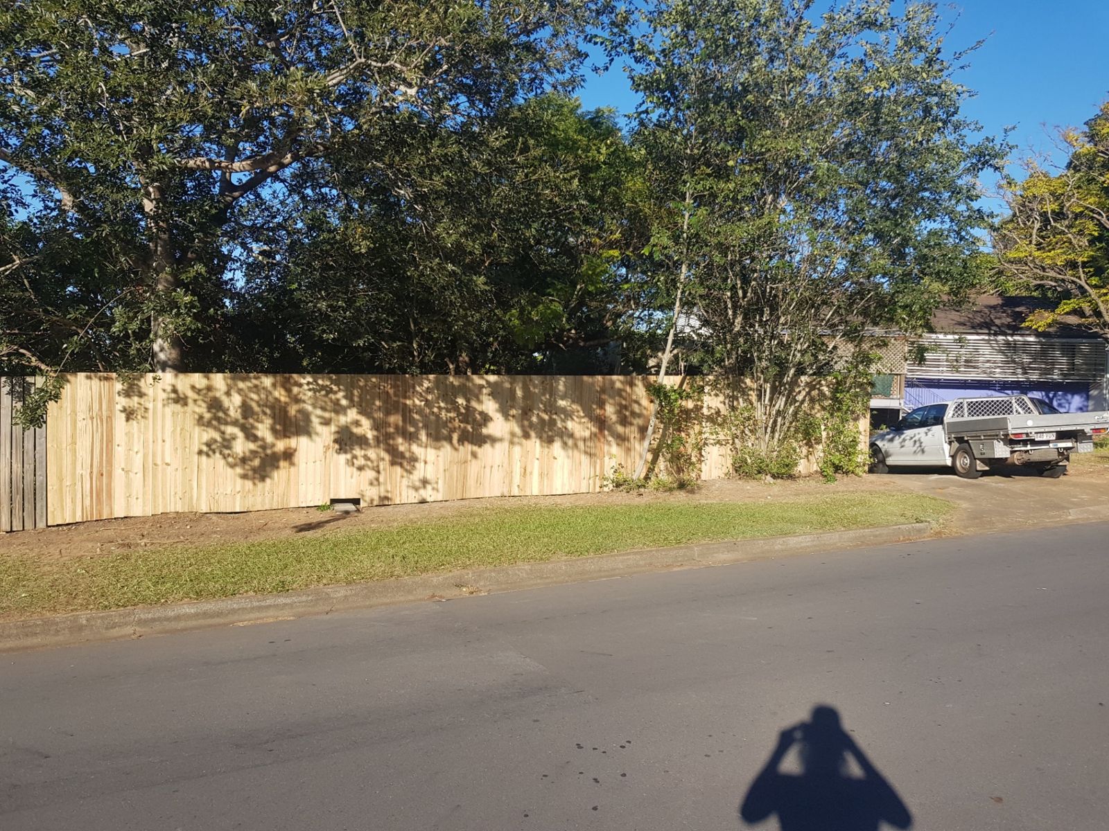 Hardwood paling fence along a street